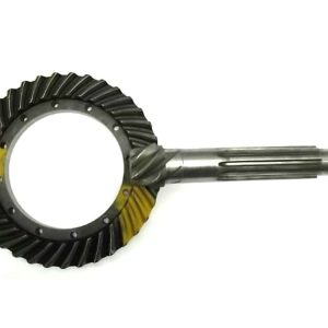 Coroa e Pinhão 80495400