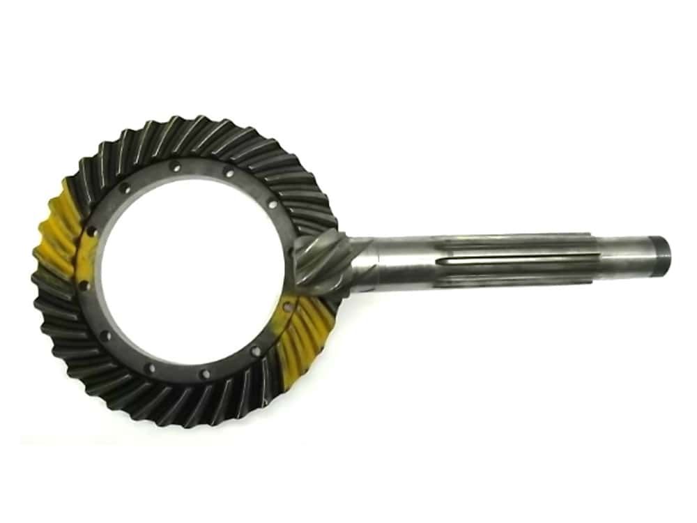 Coroa e Pinhão 80495400